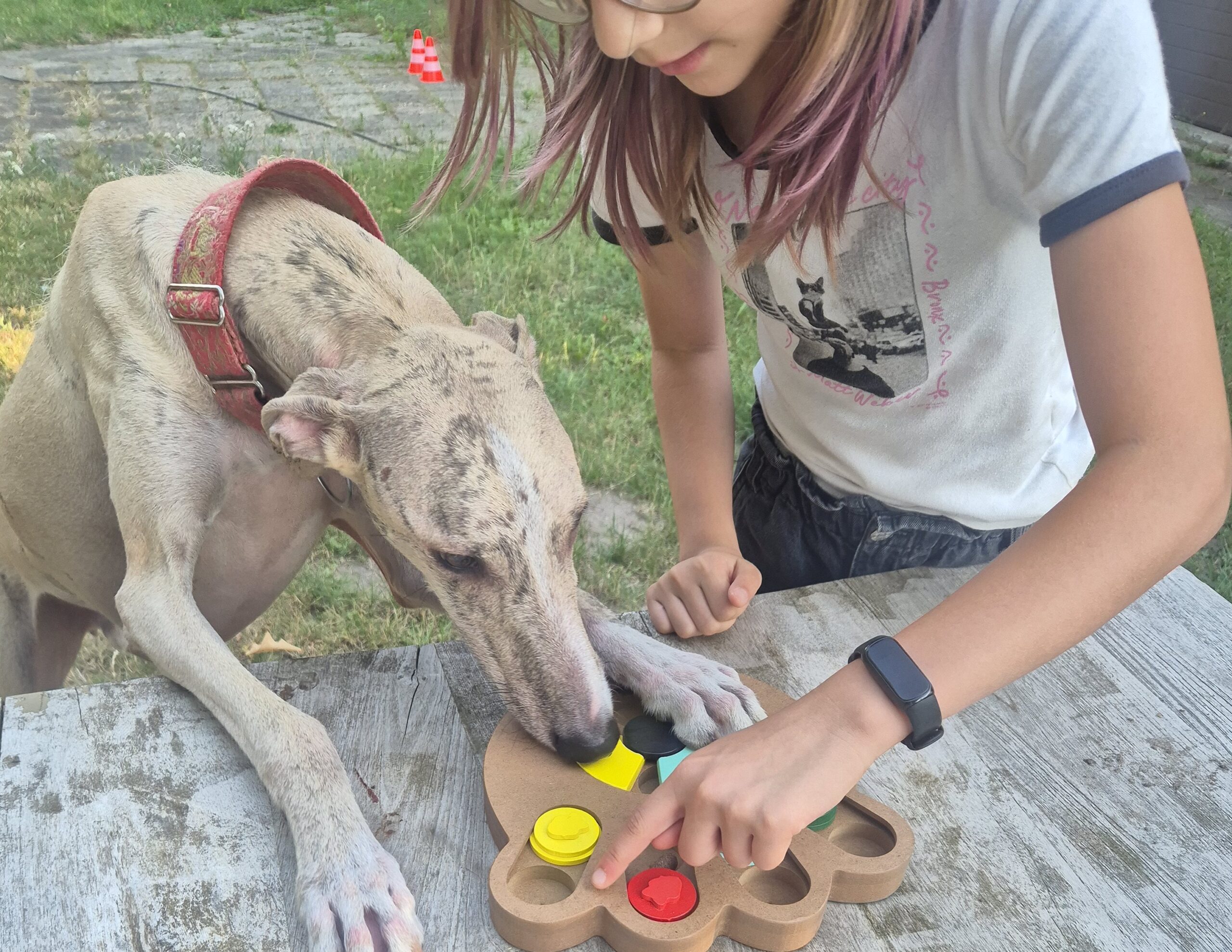 Kind met therapiehond doet spel