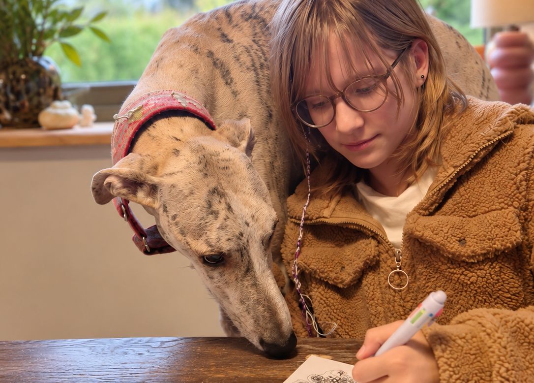 Therapiehond helpt met school